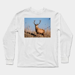 Red deer stag stares at the camera Long Sleeve T-Shirt